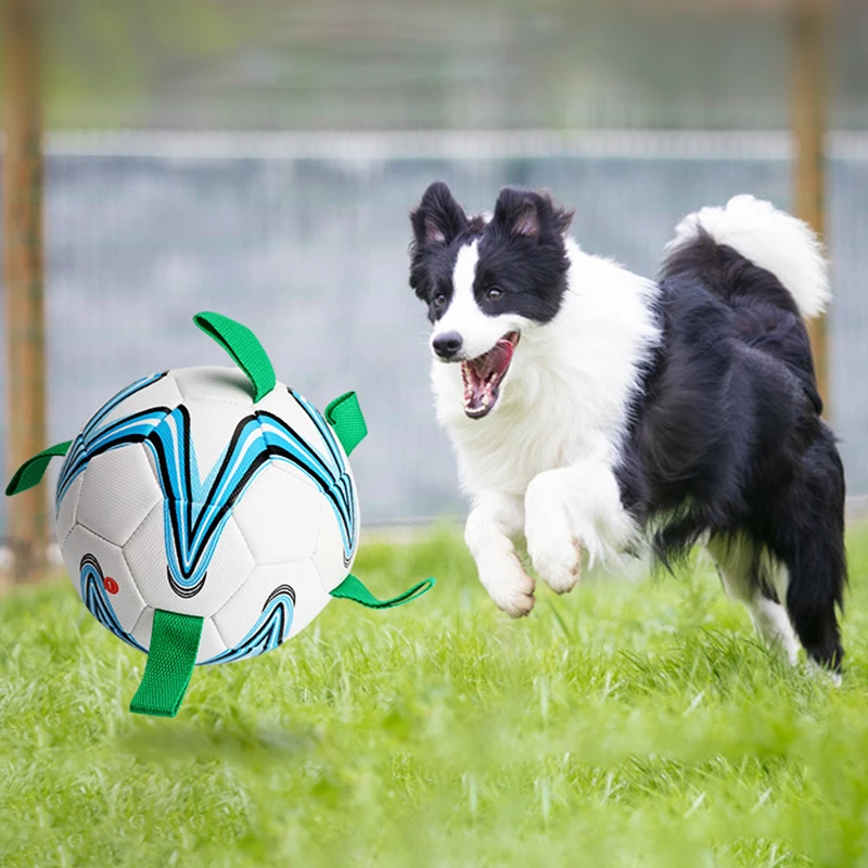 Šuns Žaislas, Futbolo Kamuolys Lauko Mokymo Interaktyvus Pet Bite Kramtyti Kamuolys, Žaislai, Futbolo Ir Pripūtimo Šuns Žaislai